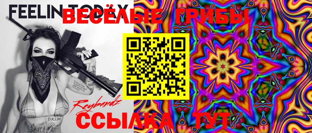 Псилоцибиновые грибы Psilocybe Сатка